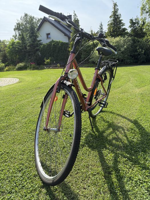 Rower Maxim Excursion 120