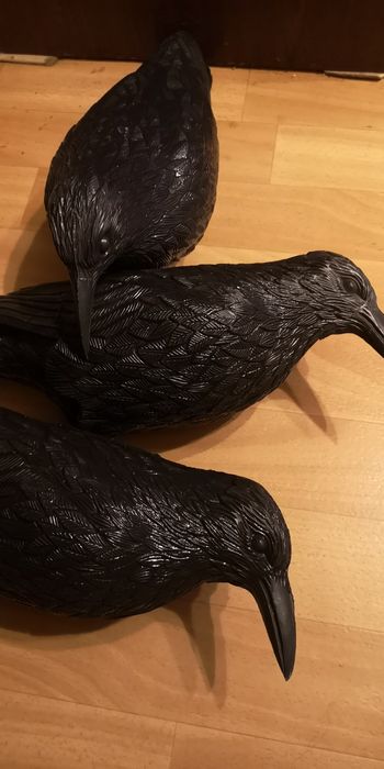 Wrony odstraszacz 3 szt.