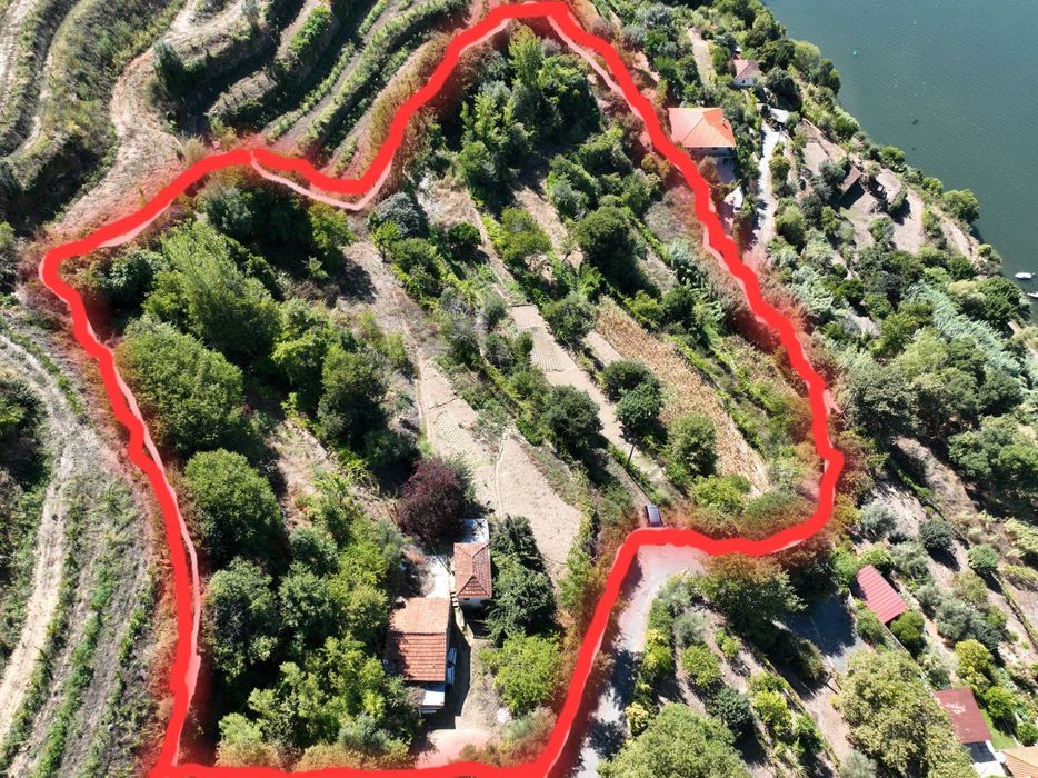 Quinta no douro com um hectare