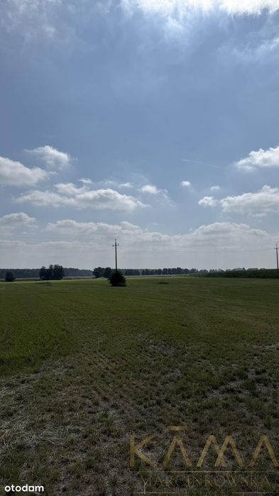 Działka w Żabnie gm Brodnica