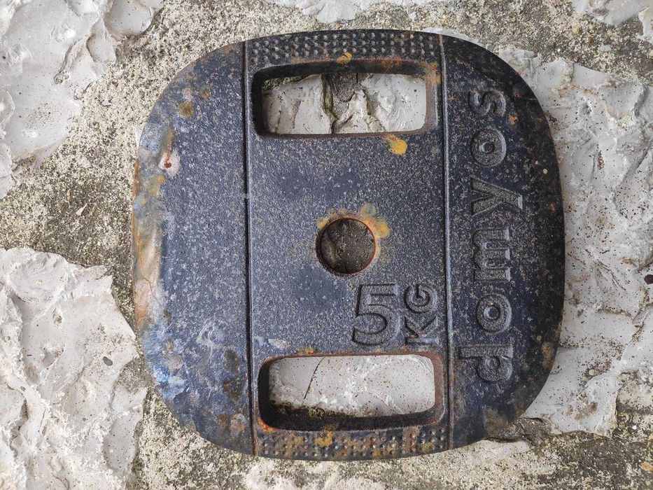 Disco de Musculação em Ferro Fundido 5 kg  (Domyos)