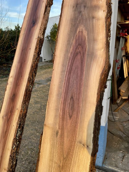 Nogueiro portugues. Pranchas de madeira.