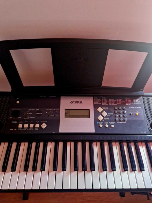 Teclado Yamaha YPT-230
