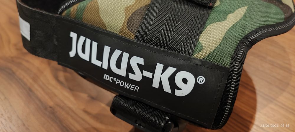 Dorsal de cão Julius K9