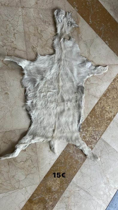 Várias para para decoração