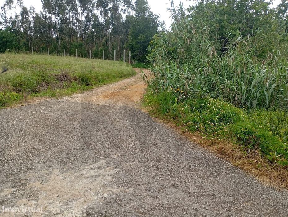Plot of Land with a Mill on the Mill Route in Ouca – Vagos