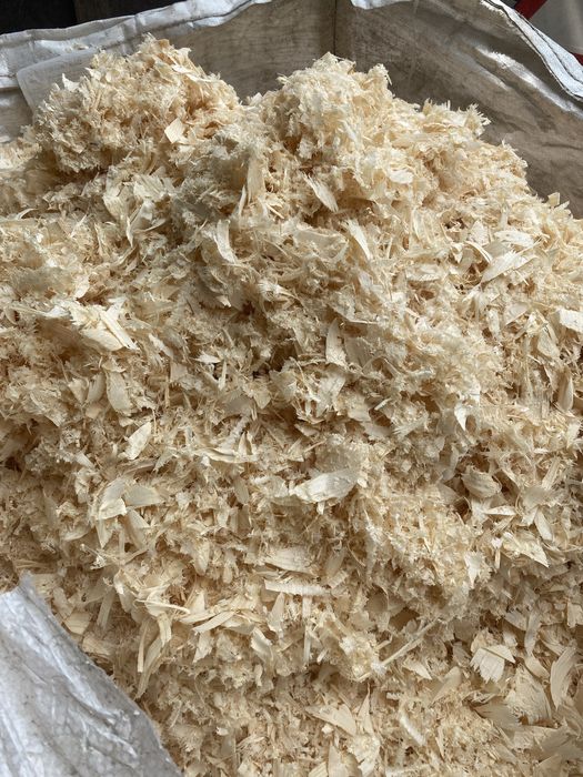 Trociny/wióry/ścinki drewna spod heblarki/frezarki