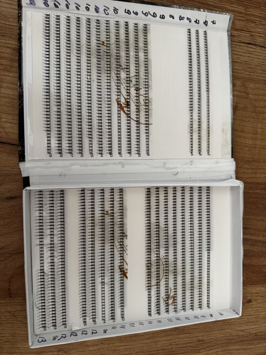 Rzęsy kępki box Oh Lashka