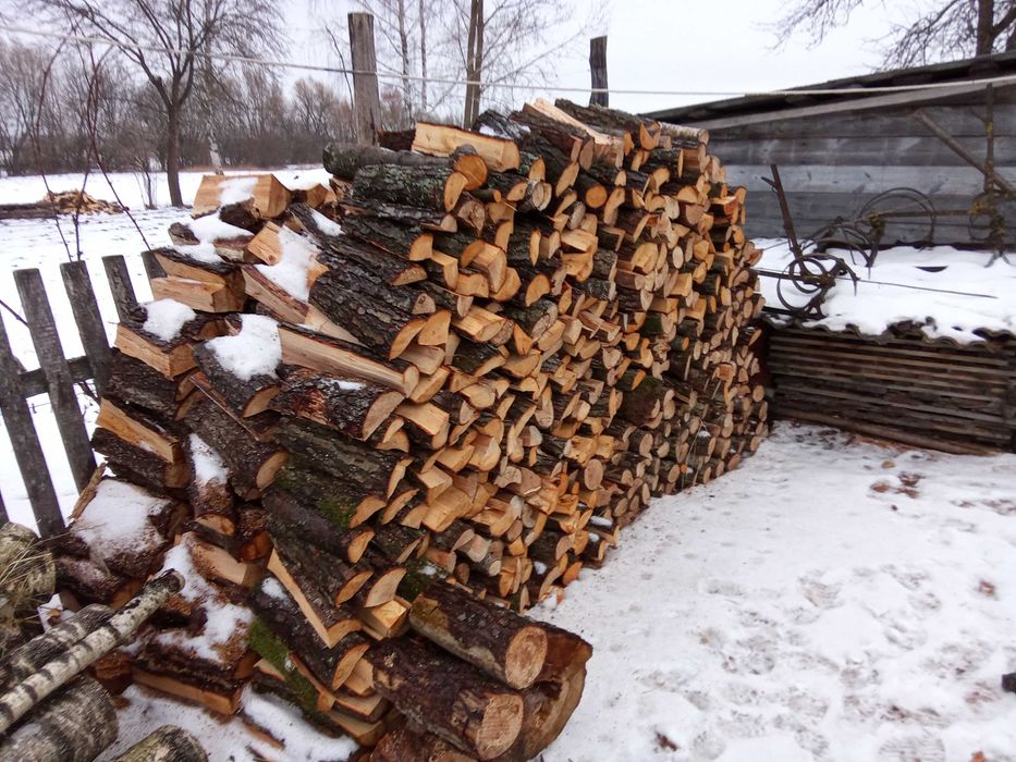 Дрова різних порід(дуб,граб,ясен,вільха,береза,сосна)Недорого!