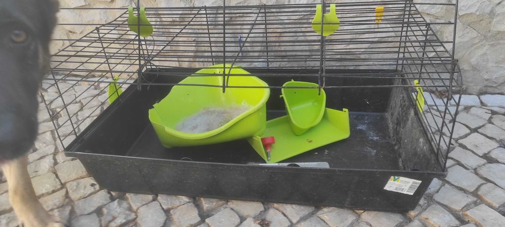 gaiola jaula roedores