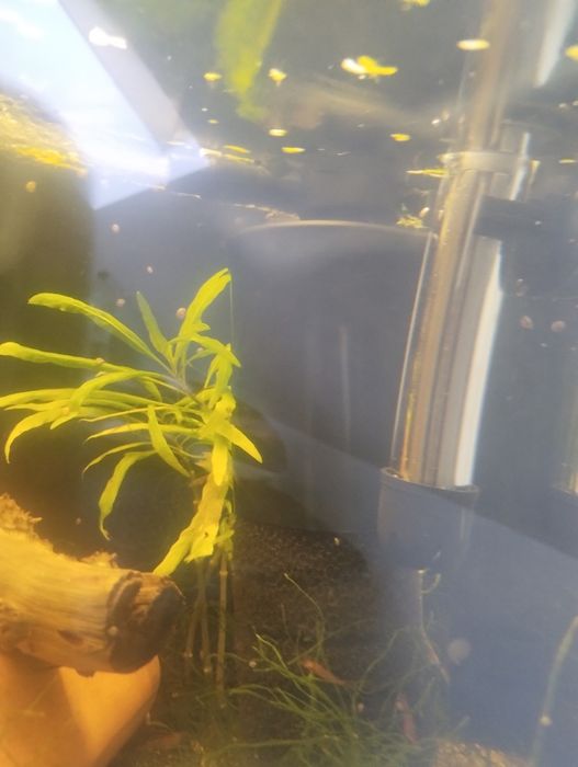 Akwarium 120 l szczelne