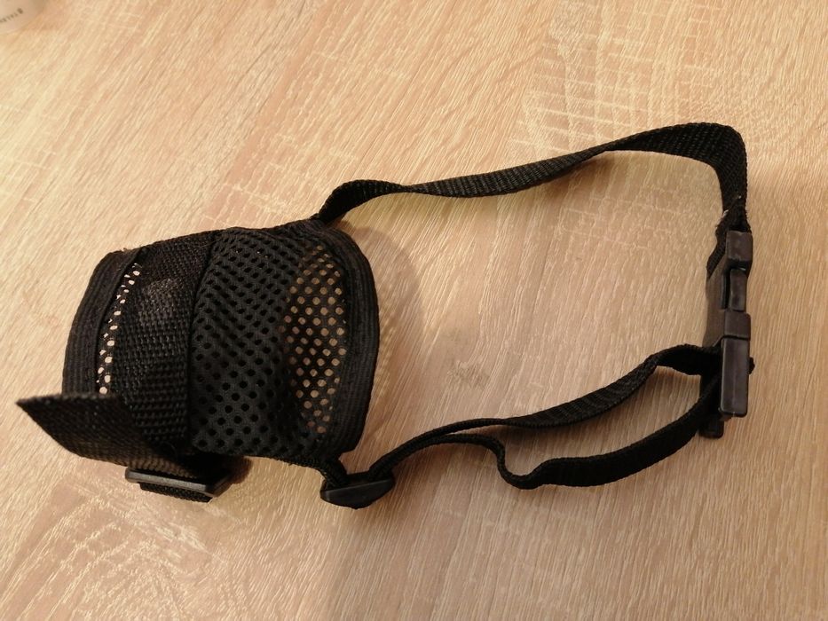 Zestaw akcesoriów dla psa