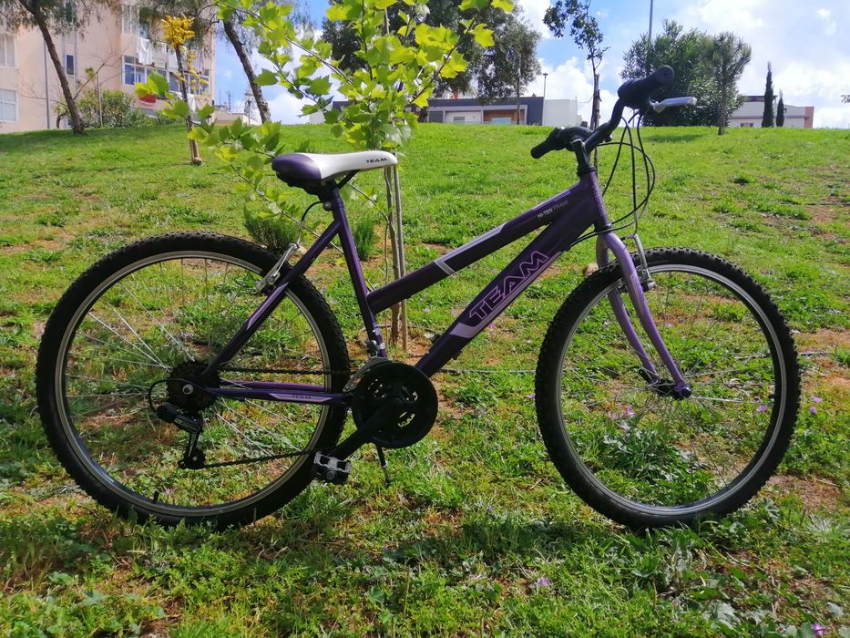 Bicicleta / Bike semi-nova