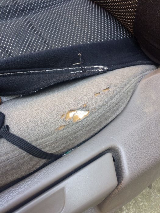 Продам сидіння та карти дверей фольцваген поссат б6