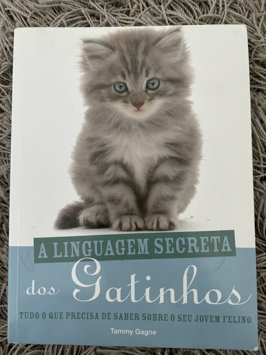 A linguagem secreta dos gatinhos