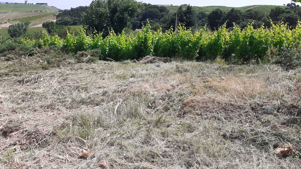 Quinta pequena- Sobral de Monte Agraço