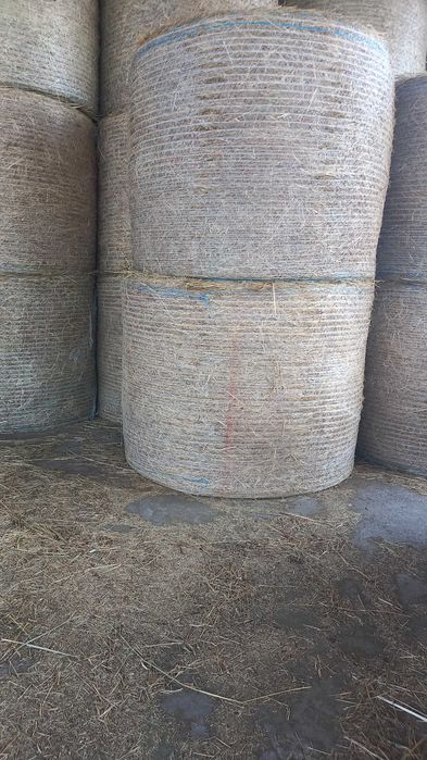 Продаж сіна в рулонах