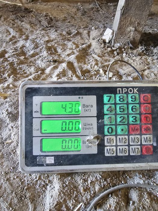 Продаж бройлерів