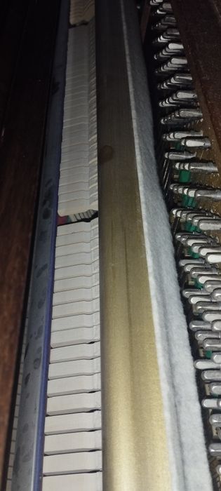 Piano Rosler Oferta transporte e afinação