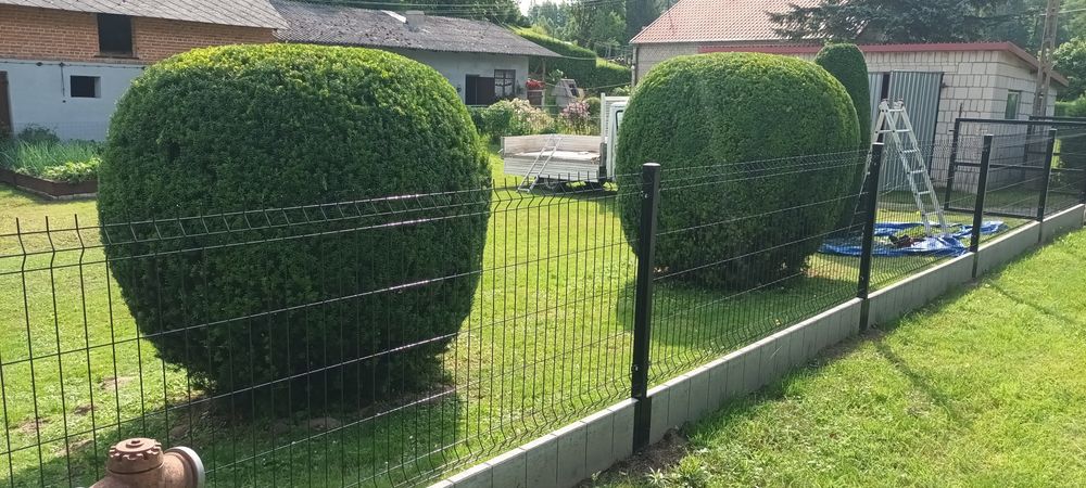 Porządkowanie działek, koszenie, wycinka, rębak
