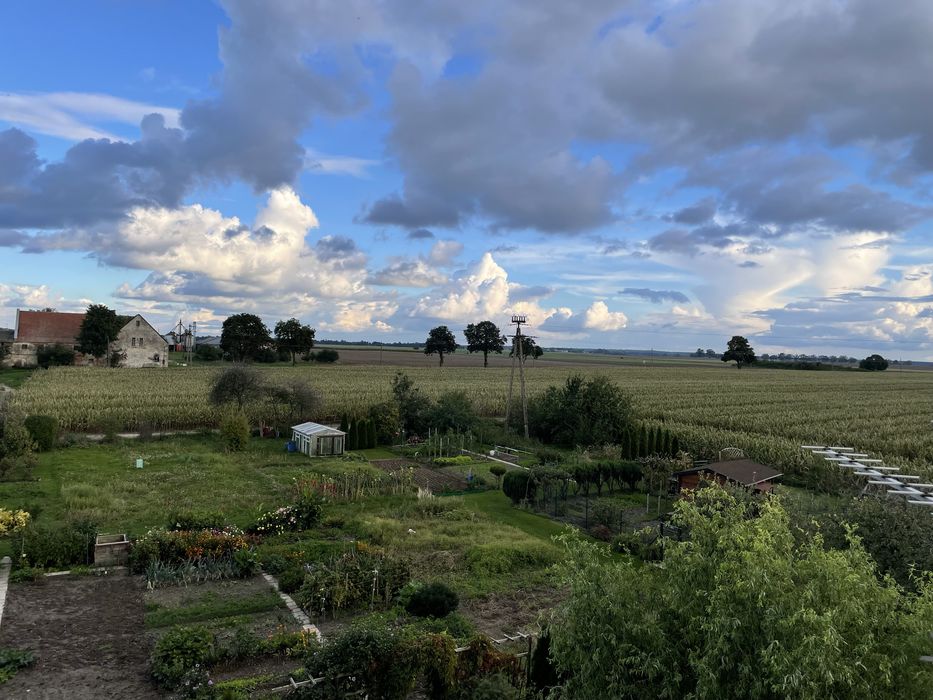 Umeblowwne mieszkanie do wynajecia 42m