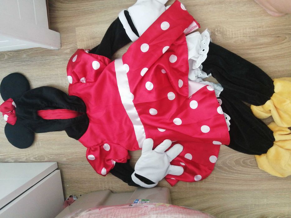 Disfarce Minnie 5 Anos