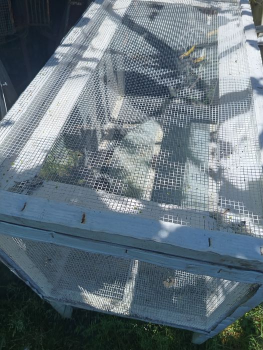 Gaiolas para pasaros