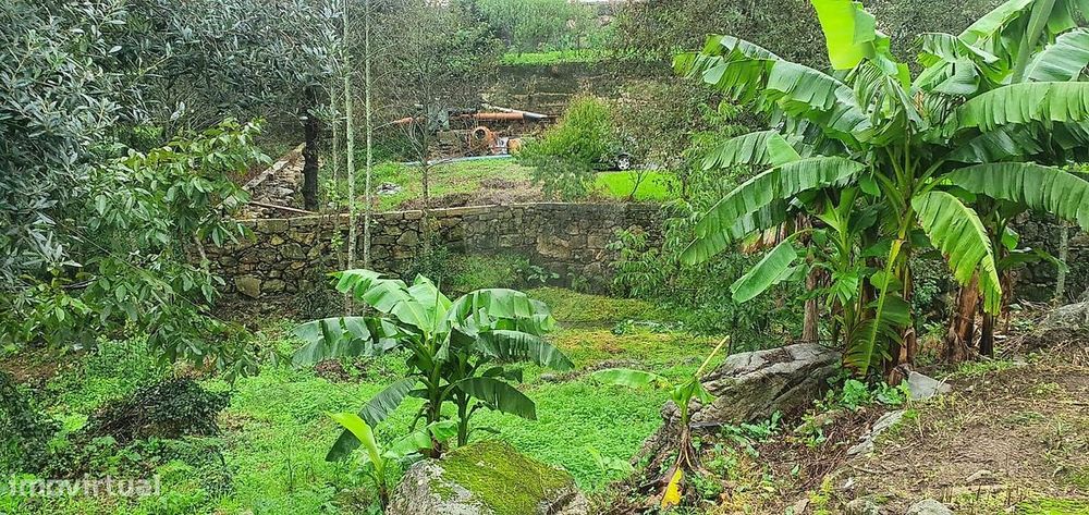Terreno  para venda