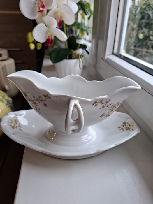 Kuzniecow sosjerka wyszczerbiona