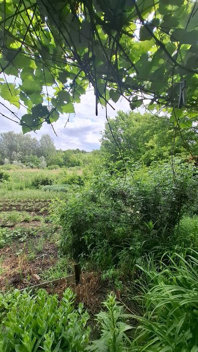 Без комиссии! Продам дом, участок, Ольшаны, Солоницевка Отг MA