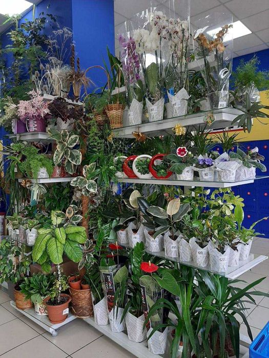 Металоконструкція стелаж