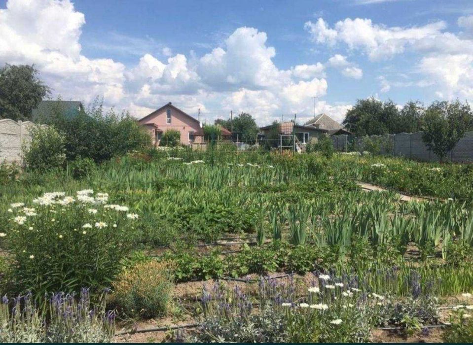 Гарний компактний будинок з якісним ремонтом в селищі Солоницівка