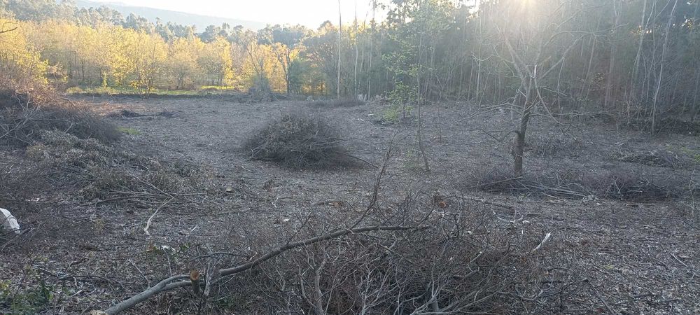 Terreno para construção