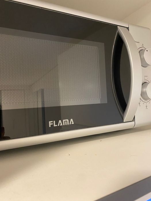 Microondas Flama