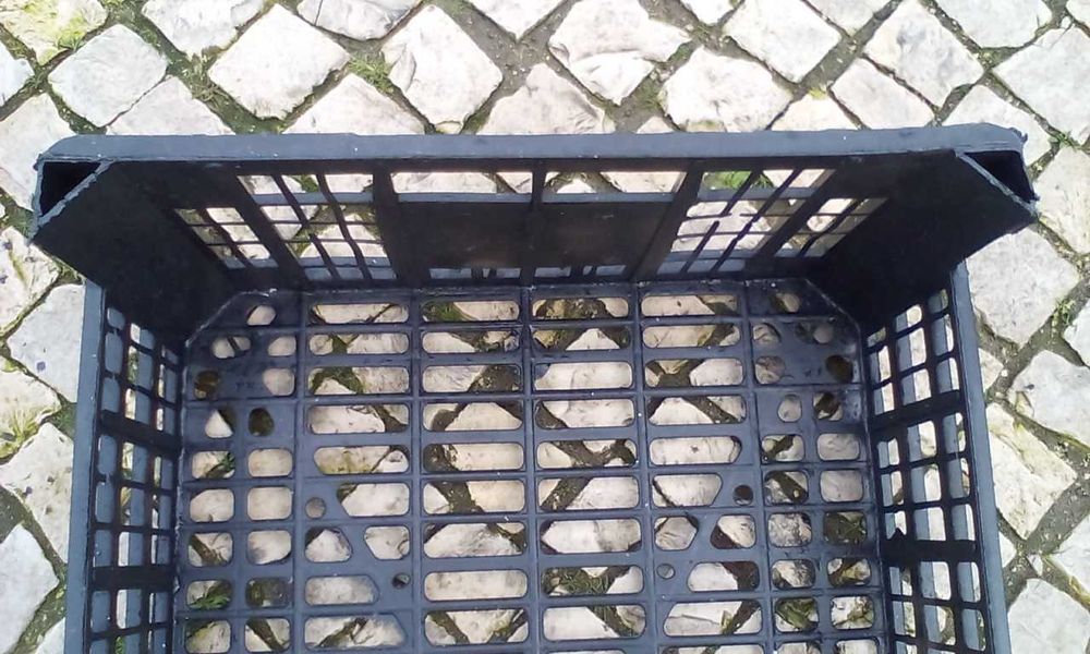 Plastic fruit basket423806361666201605