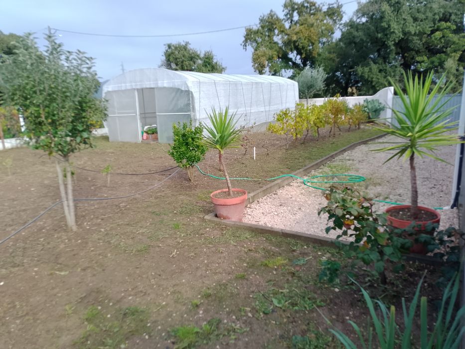 Quintinha T3 com Pomar e Furo