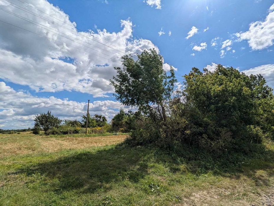 Продам земельну ділянку в с. Велика Омеляна