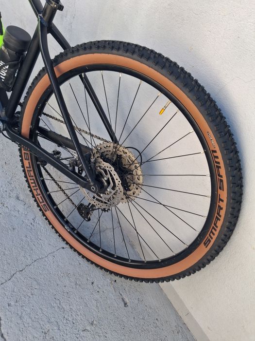 André pinto loureiro