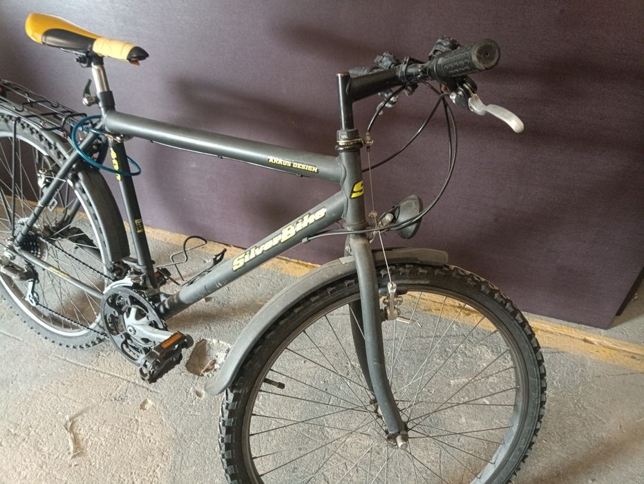 Rower silverbike