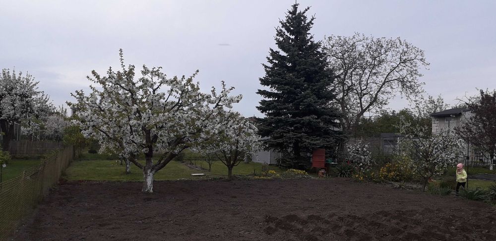 Działka ogrodowa ROD