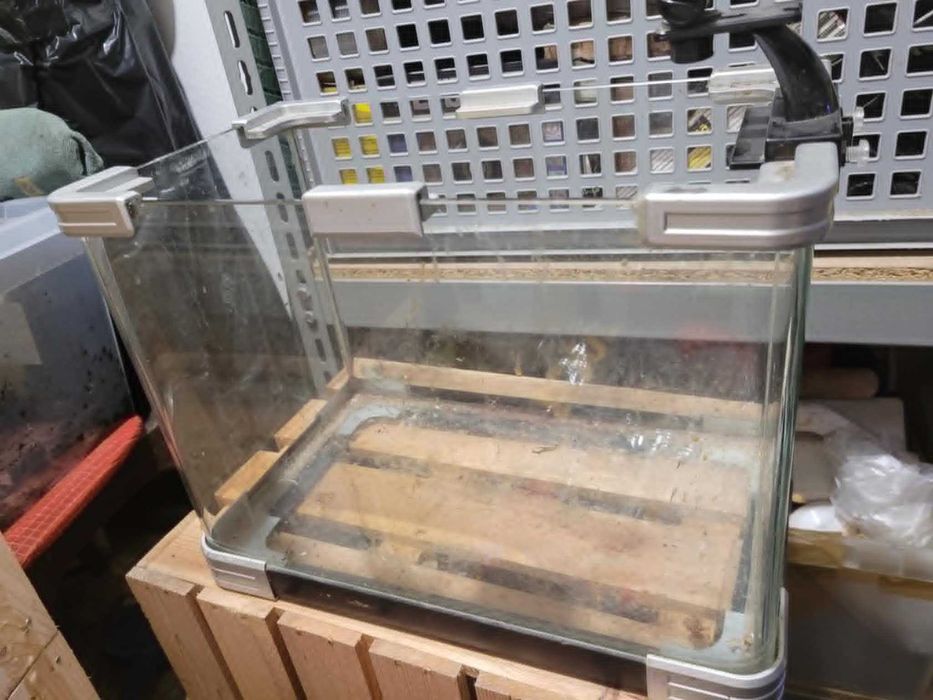 Akwarium optiwhite 36x 21x25 idealne na pierwsze akwarium