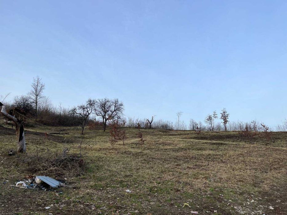 Продається земельна ділянка, смт Середнє Код: 43367