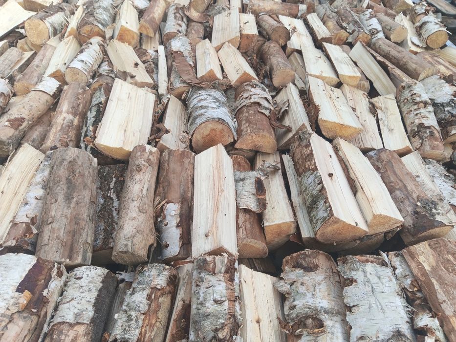 Brzoza. Opał, drewno kominkowe. Możliwość transportu.