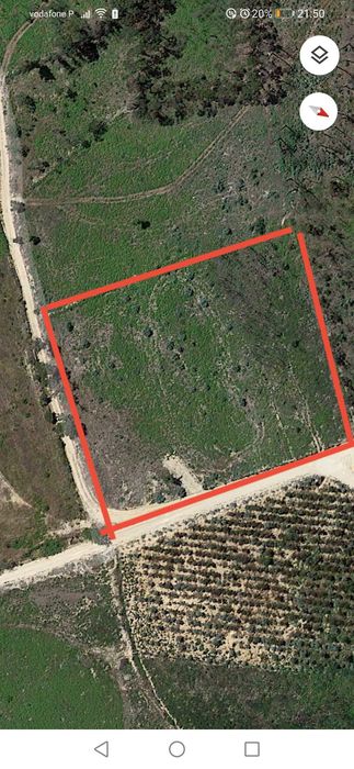 Terreno florestal com boa localização em Nelas