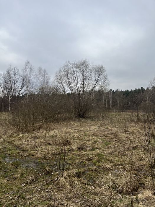 Продаж ділянки у с.Соколя на Мостищині