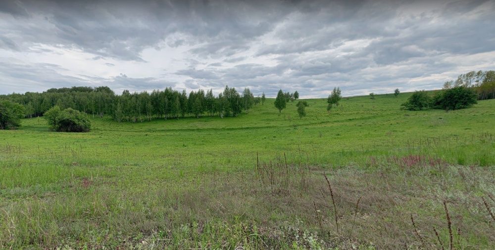 Продам землю в Подгорцах.