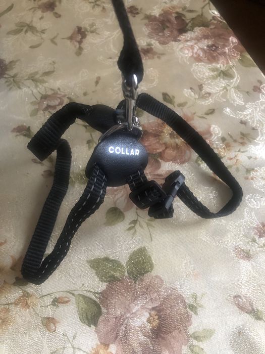 Повідок, шлея для  невеликої собаки 2 штуки