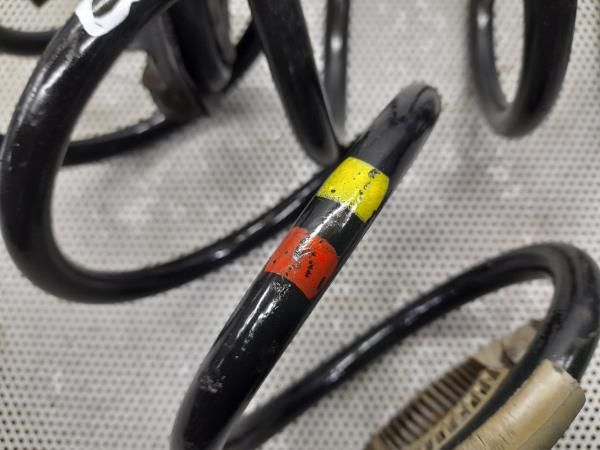 Mola de suspensão trás direita RENAULT Clio III (BR0/1, CR0/1)