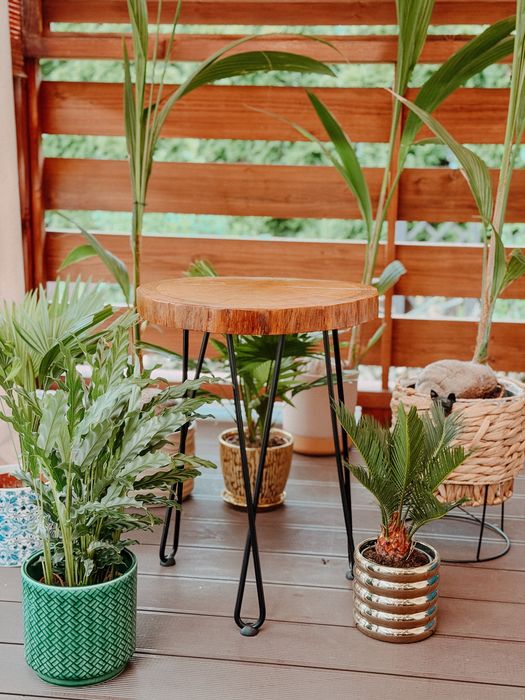 Stolik kawowy z litego plastra dębu | Handmade | Hairpin Legs
