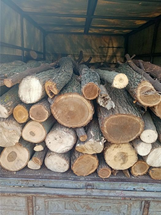 дрова по вигідним цінам!!, краща якість